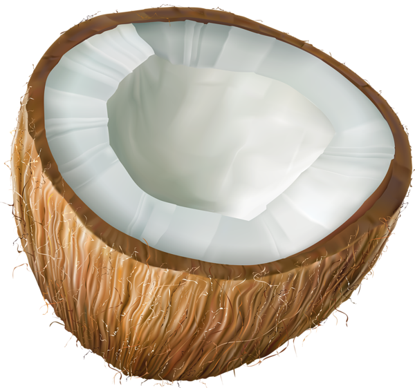 This png image - Coconut Transparent PNG Clip Art, is available for free download