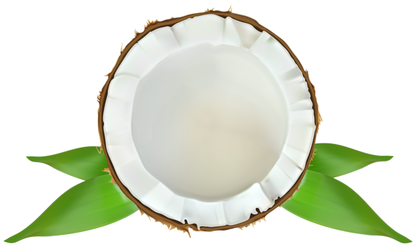 This png image - Coconut Transparent PNG Clip Art Image, is available for free download