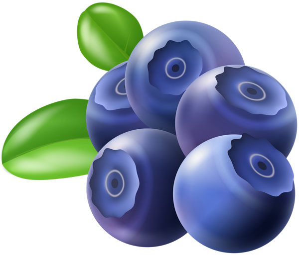 This png image - Fresh Blueberries PNG Clipart, is available for free download