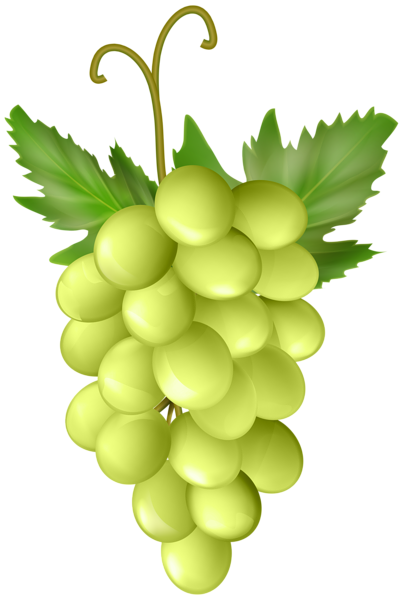 This png image - Fresh Grape PNG Transparent Clipart, is available for free download