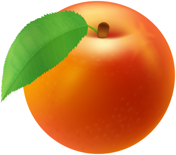 Fresh Peach PNG Clipart | Gallery Yopriceville - High-Quality Free ...