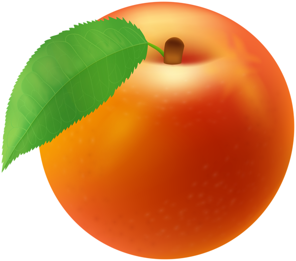 This png image - Fresh Peach PNG Clipart, is available for free download