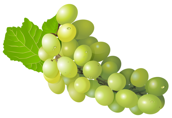 This png image - Grape PNG Free Clip Art Image, is available for free download