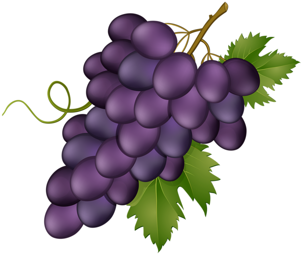 This png image - Grape Pink Transparent PNG Clip Art Image, is available for free download