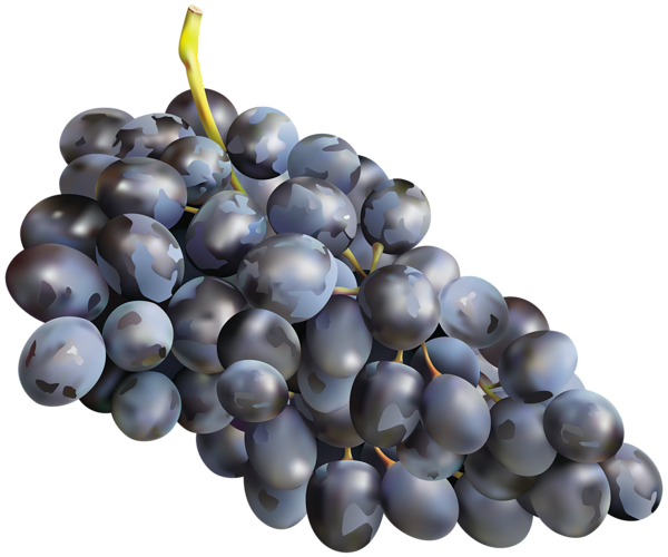 This png image - Grape Transparent Clip Art Image, is available for free download