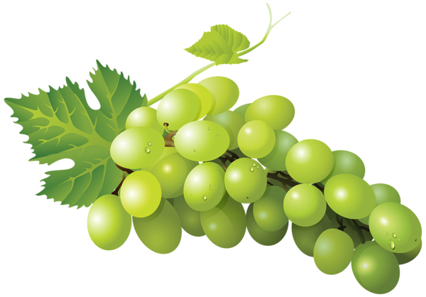 This png image - Grape Transparent PNG Clip Art Image, is available for free download