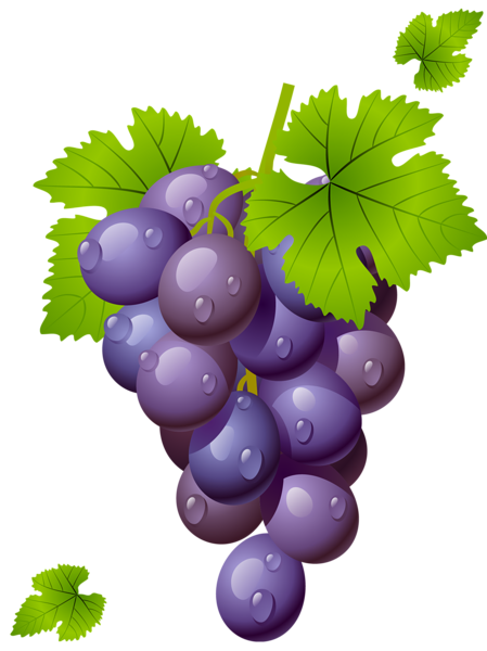 This png image - Grape with Leaves PNG Clipart Picture, is available for free download