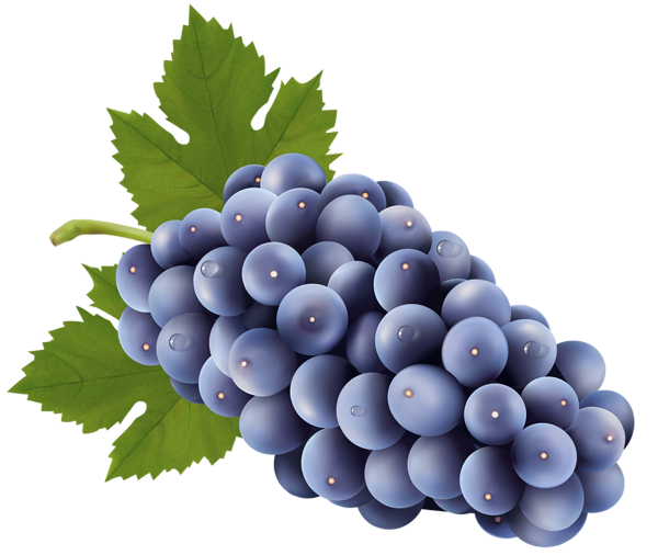 This png image - Grapes Free PNG Clip Art Image, is available for free download