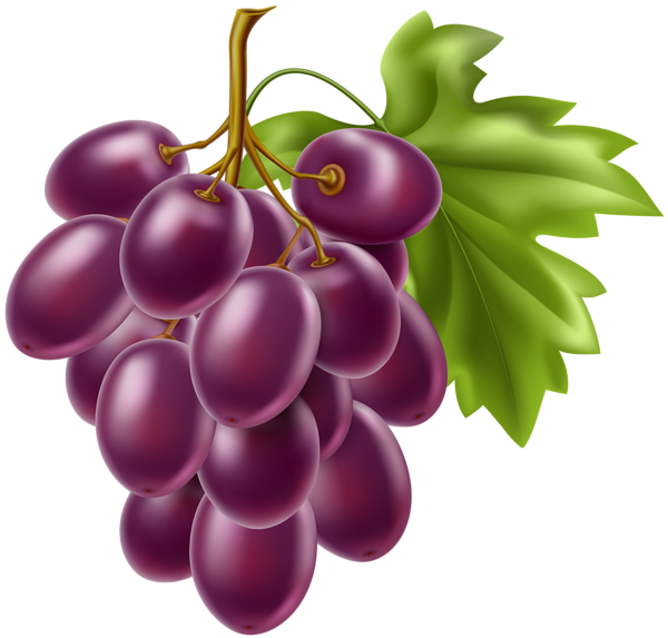 This png image - Grapes Fruit PNG Clipart, is available for free download
