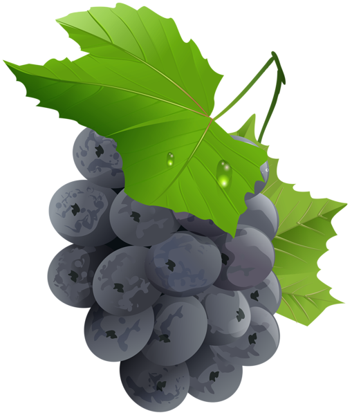 This png image - Grapes Transparent PNG Clip Art Image, is available for free download
