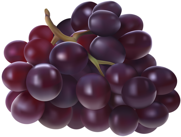 This png image - Grapes Transparent PNG Image, is available for free download