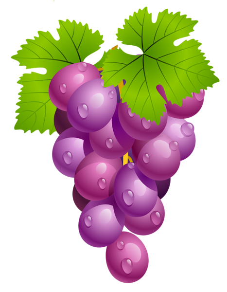 This png image - Grapes with Leaves PNG Clipart Picture, is available for free download