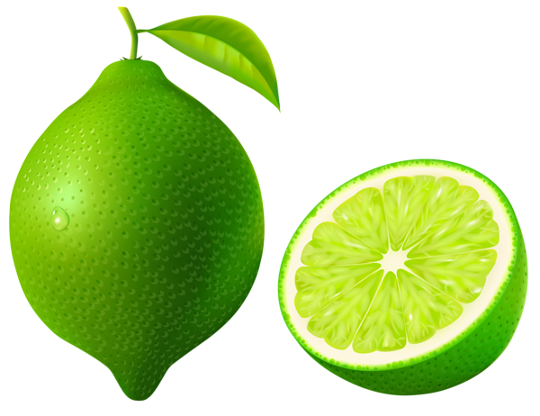 This png image - Green Lime PNG Vector Clipart Image, is available for free download