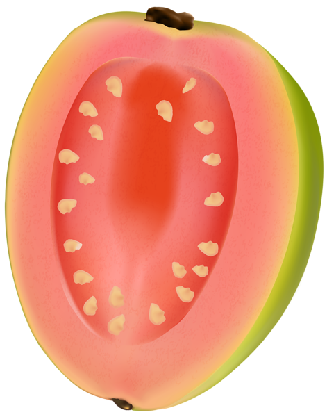 This png image - Guava Fruit PNG Clip Art Image, is available for free download