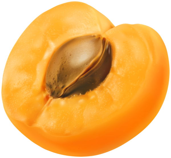 This png image - Half Apricot PNG Clip Art Image, is available for free download