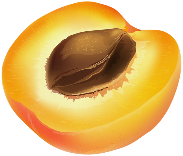 This png image - Half Apricot PNG Transparent Clipart, is available for free download