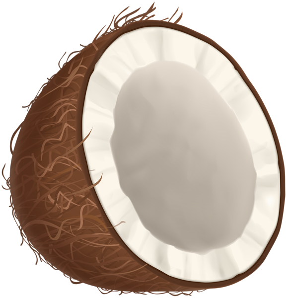 This png image - Half Coconut PNG Clipart, is available for free download