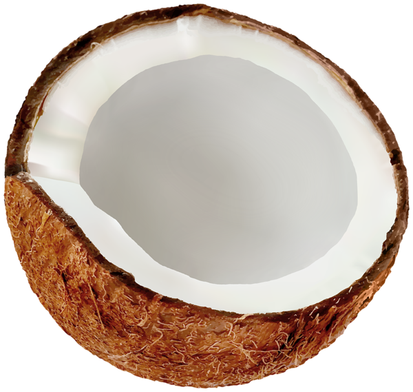 This png image - Half Coconut PNG Clipart, is available for free download