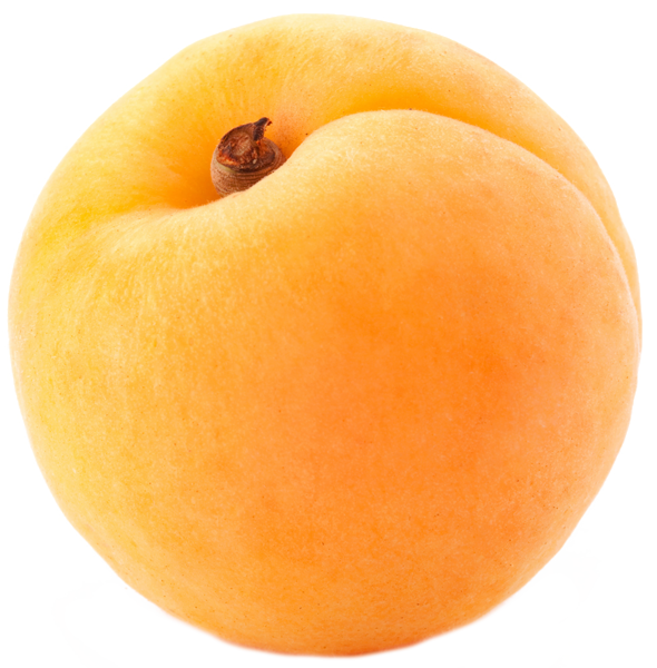This png image - Large Apricot PNG Clipart, is available for free download
