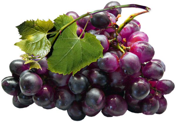 This png image - Large Black Grapes PNG Clipart, is available for free download