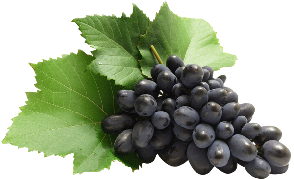 This png image - Large Grapes PNG Clipart, is available for free download
