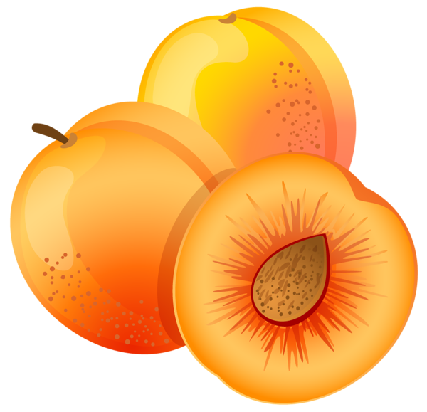 This png image - Large Painted Apricot PNG Clipart, is available for free download