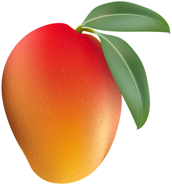 Mango Transparent Clip Art Image | Gallery Yopriceville - High-Quality
