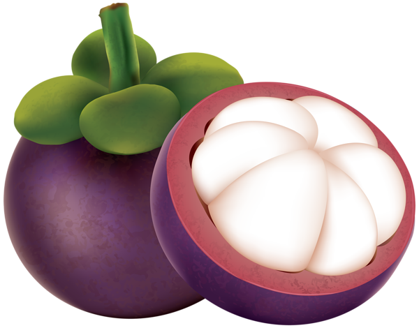This png image - Mangosteen PNG Clip Art Image, is available for free download