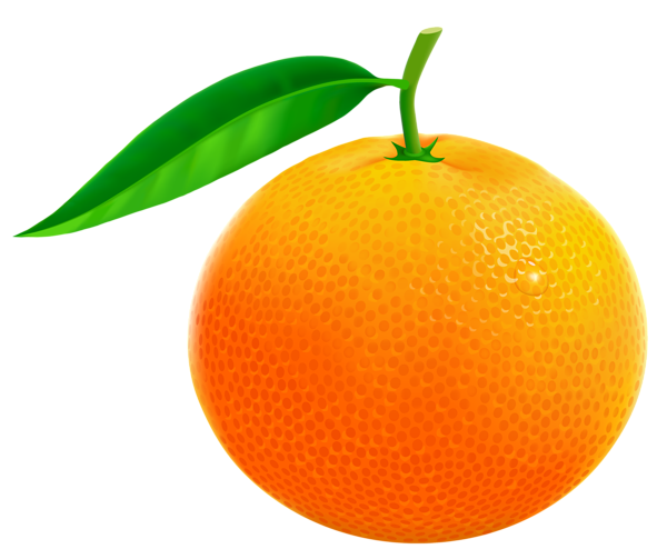 This png image - Orange PNG Vector Clipart Image, is available for free download