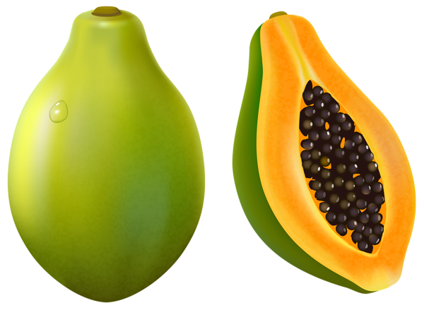 This png image - Papaya PNG Vector Clipart Image, is available for free download