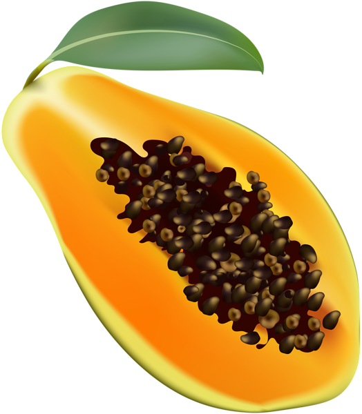 This png image - Papaya Transparent Clip Art Image, is available for free download