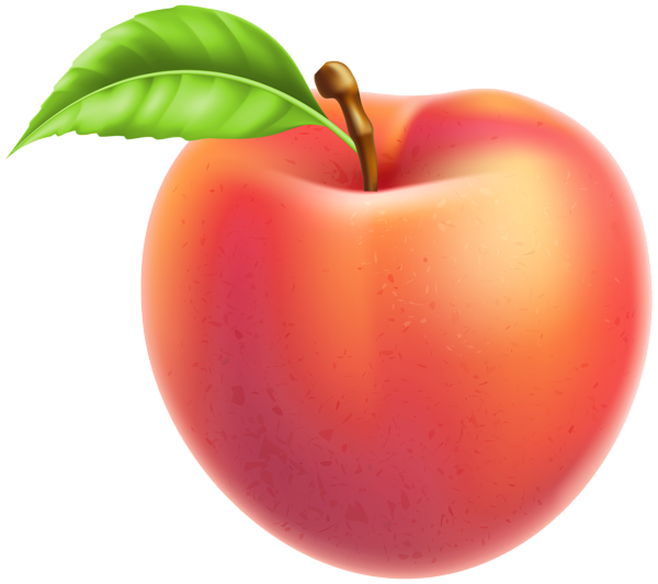 This png image - Peach Fruit PNG Clipart, is available for free download