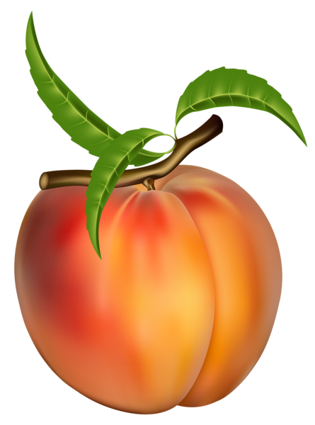 This png image - Peach Transparent PNG Clipart Picture, is available for free download