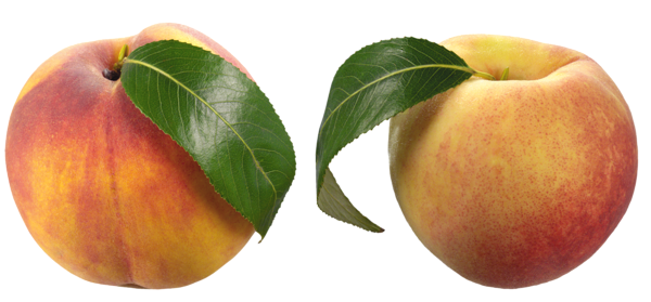 This png image - Peaches PNG Clipart Picture, is available for free download