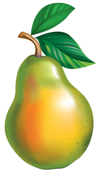This png image - Pear PNG Clipart Picture, is available for free download