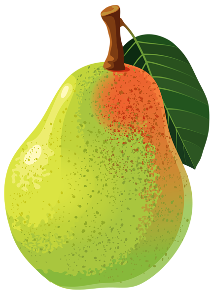This png image - Pear PNG Vector Clipart Image, is available for free download