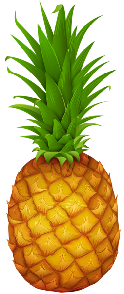 Pineapple PNG Clipart | Gallery Yopriceville - High-Quality Images and