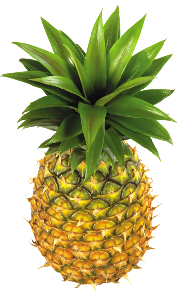 This png image - Pineapple PNG Clipart Picture, is available for free download
