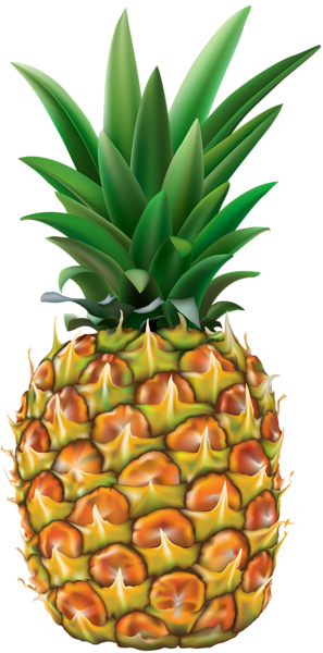 This png image - Pineapple Transparent PNG Clip Art Image, is available for free download