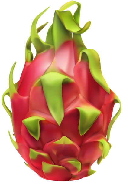 This png image - Pitaya PNG Clip Art Image, is available for free download