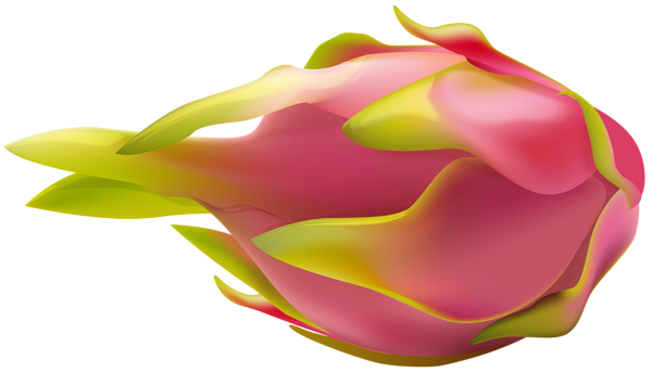 This png image - Pitaya Transparent Image, is available for free download