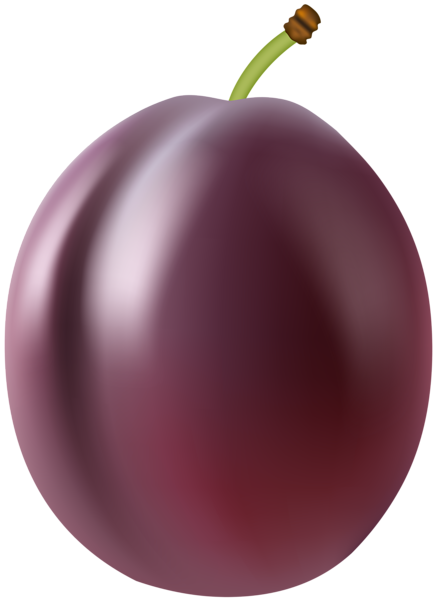 This png image - Plum Fruit PNG Clip Art Image, is available for free download