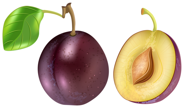 This png image - Plum Transparent PNG Clip Art Image, is available for free download