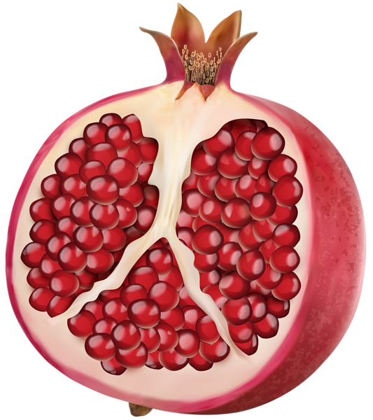 This png image - Pomegranate PNG Clip Art Image, is available for free download