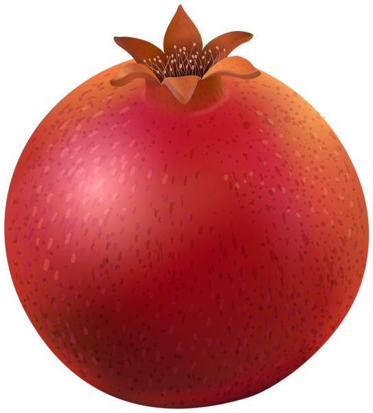 This png image - Pomegranate PNG Clip Art Image, is available for free download