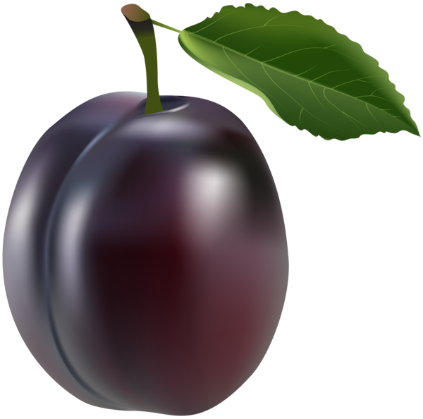 This png image - Prune Transparent PNG Clip Art Image, is available for free download