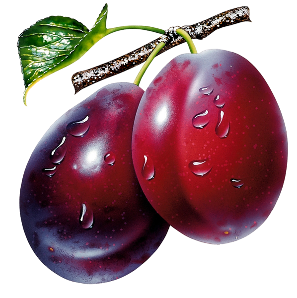 This png image - Prunes Clipart Picture, is available for free download