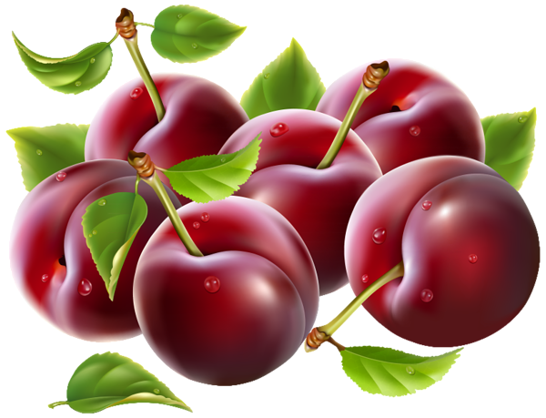 This png image - Prunes PNG Clipart Image, is available for free download