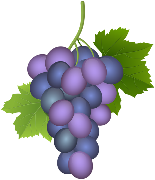 This png image - Purple Grape PNG Clip Art Image, is available for free download