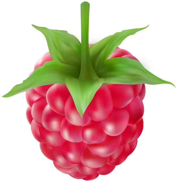 This png image - Raspberries Clipart Image, is available for free download